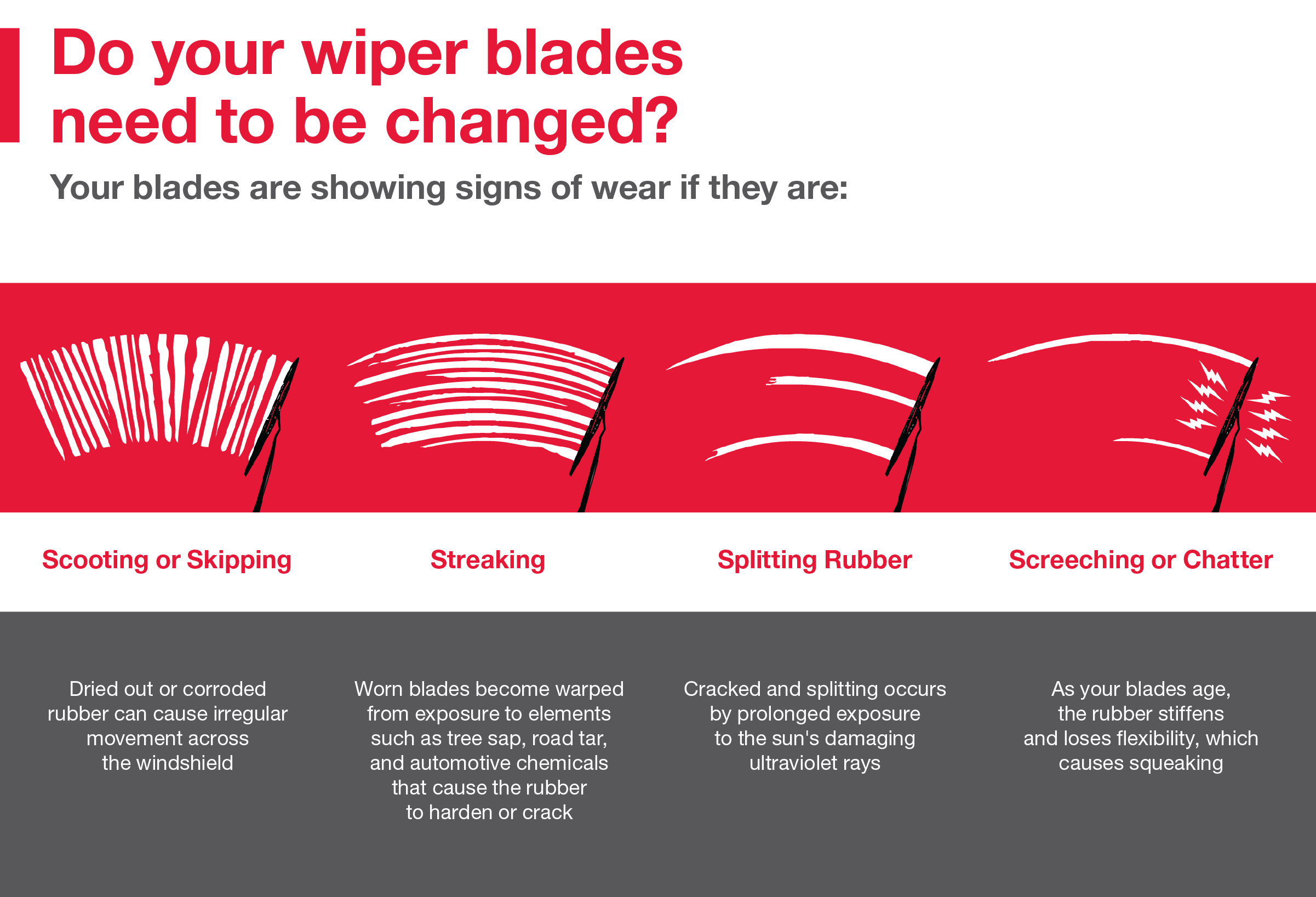 Do your wiper blades need to be changed | LeadCar Toyota Mankato in MANKATO MN